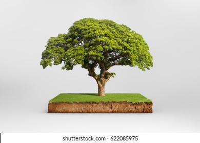 Cubical Cross Section With Underground Earth Soil And Green Grass On Top, Cutaway Terrain Surface With Mud And Tree Isolated