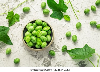 Cucamelon (Melothria Scabra) - Mexican Sour Cucumber, Pepquinos. Edible Vegetables With High Level Of Potassium And Vitamin C