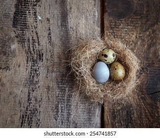 Cuckoo Egg Between Other Eggs In A Nest On Wooden Table