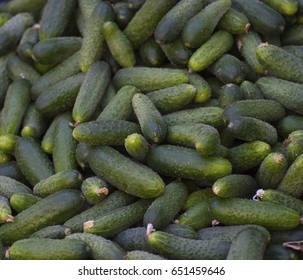 Cucumber