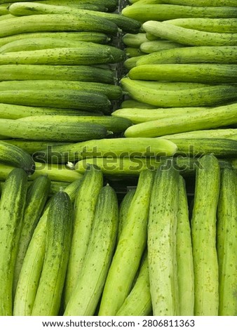The cucumber background is lined with a unique nuance 