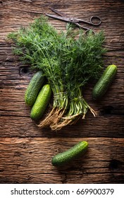 Cucumber And Dill On Very Old Rustic Oak Table.