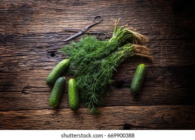 Cucumber And Dill On Very Old Rustic Oak Table.