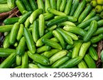 Cucumber is a nutritious fruit with a high water content. Group cucumber background (Cucumis sativus). Cucumber News in Bengali, Videos and Photos about Cucumber. 