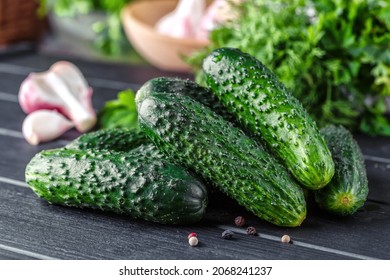 Cucumber on  dark wood texture background.Cucumbers harvest in summer. Cucumbers for salads or canning. Summer vegetables. Organic agriculture in village.