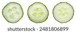 Cucumber slice with droplets on white Background, top view