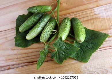 Cucumbers on table