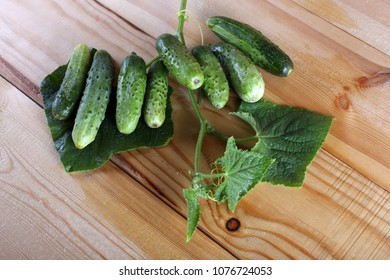 Cucumbers on table