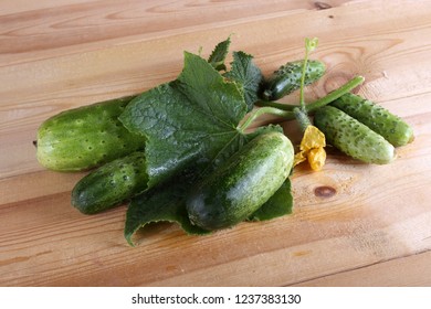 Cucumbers on table