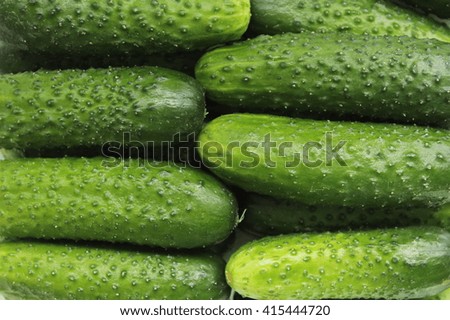 Similar – It’s pickling cucumber time again / washed pickled cucumbers