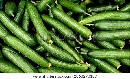 Cucumbers top view, greenhouse cucumbers, long cucumbers, vegetables harvest, food background, place for text 