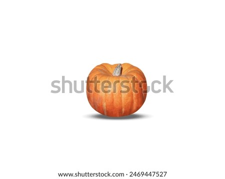 Cucurbita maxima with white background