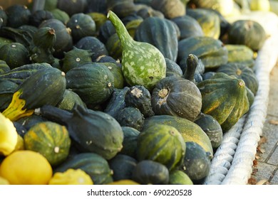 Cucurbits