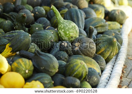 Cucurbits