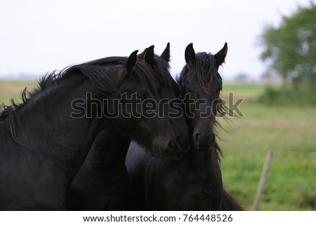 Similar – Foto Bild Zaungast Freizeit & Hobby