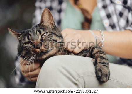 Cuddling in nature between humans and cats is the ultimate goal of existence, the cat thinks. But he doesn't know that the girl was thinking the same when she entered the woods. Tourism and cats.