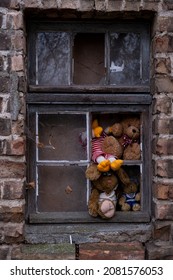 
Cuddly Toy In A Broken Window