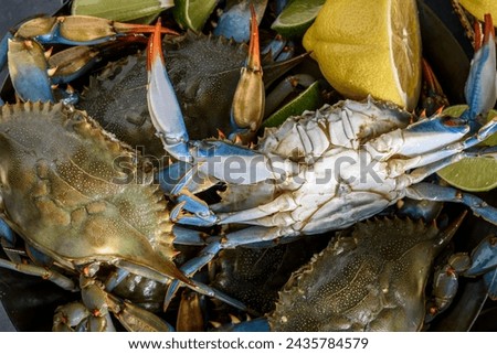 Culinary Harmony: 4K Ultra HD Image of Close-Up of Fresh Blue Crab with Vegetables