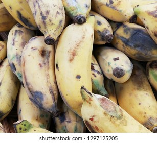 Cultivated Banana, Has Iron Help Build Red Blood Cells Prevent Anemia With Calcium, Phosphorus And Vitamin C. Helps To Maintain Strong Bones, Teeth And Gums