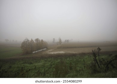 Cultivated field with trees and covered hay bales next to them on a foggy day in the italian countryside - Powered by Shutterstock