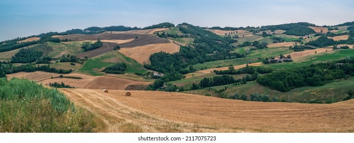 The Cultivated Hills Between Fano And Pesaro In Summer Season. Pesaro And Urbino Province, Marche, Italy.