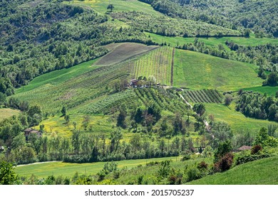 Cultivated hills near Castello di Serravalle - Castle of Serravalle in springtime. Bologna province, Emilia and Romagna, Italy