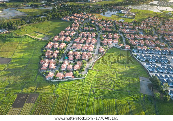 Cultivated land and land plot or land lot for\
housing subdivision and development. Consist of aerial view of\
green field, agricultural plant and housing. Business process by\
developer and\
builder.