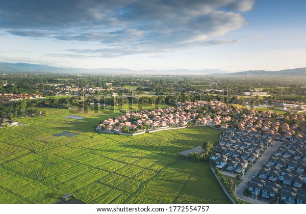 Cultivated land and land plot or land lot for\
housing subdivision and development. Consist of aerial view of\
green field, agricultural plant and housing. Business process by\
developer and\
builder.