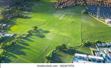 Cultivated land and land plot or land lot. Consist of aerial view of green field, agricultural plant and ridge. That is tract of land for cultivate, owned, sale, development, rent, buy or investment. - Shutterstock ID 1823673701