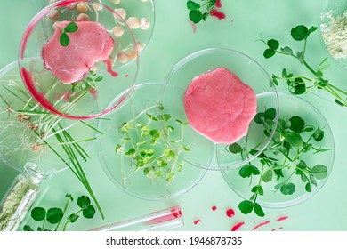 Cultivated steak, meat from the plant stem cell, New food innovation, no killing. Laboratory grown meat background - Shutterstock ID 1946878735