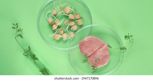 Cultivated steak, meat from the plant stem cell, New food innovation, no killing. Laboratory grown meat background
