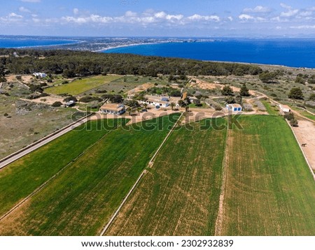 cultivation field managed by the cooperative of Formentera, La Mola, Formentera, Pitiusas Islands, Balearic Community, Spain Foto stock © 