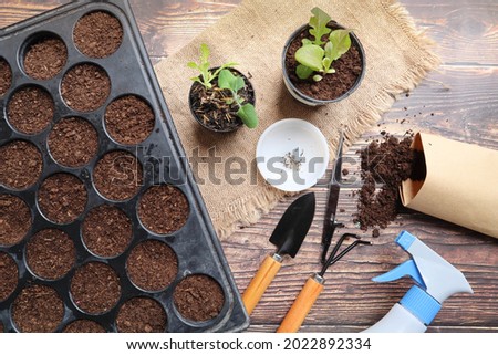 Cultivation tray with some tools and vegetable seed, flat lay on the wooden table - Ecology, leisure and nature concept