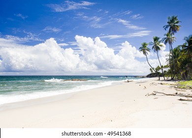 Trinidad tobago landscape Images, Stock Photos & Vectors | Shutterstock