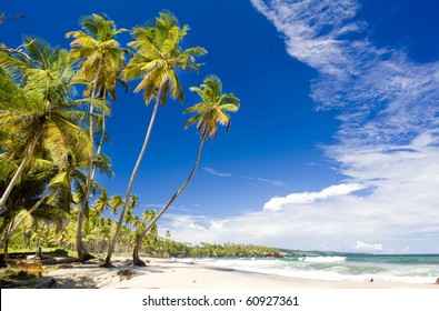 Trinidad tobago landscape Images, Stock Photos & Vectors | Shutterstock