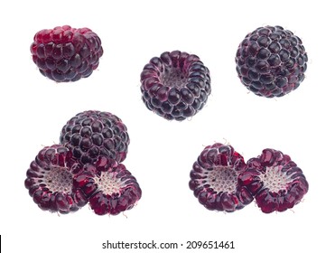 Cumberland black raspberry set isolated on white