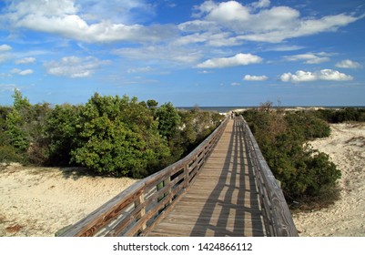 1,153 Cumberland island Images, Stock Photos & Vectors | Shutterstock