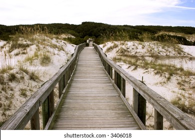 Cumberland Island Walkway