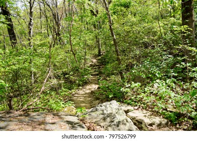 Cumberland Trail Chattanooga Tennessee