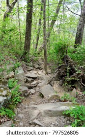 Cumberland Trail Chattanooga Tennessee