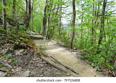 Cumberland Trail Chattanooga Tennessee