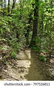 Cumberland Trail Chattanooga Tennessee