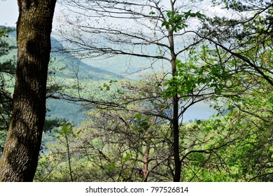 Cumberland Trail Chattanooga Tennessee