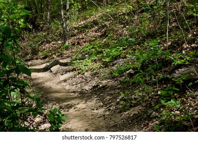 Cumberland Trail Chattanooga Tennessee