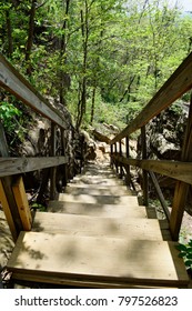 Cumberland Trail Chattanooga Tennessee