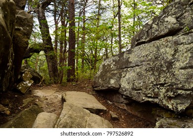 Cumberland Trail Chattanooga Tennessee