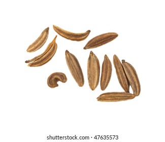 Cumin isolated on white - Shutterstock ID 47635573