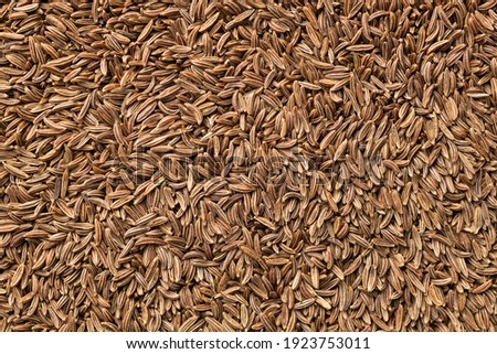 cumin seed close-up background pattern