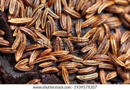 Cumin seeds on rye bread as background. Close-up