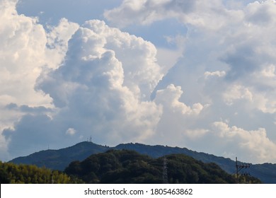 にゅうどうぐも Hd Stock Images Shutterstock